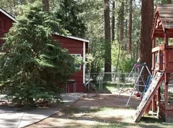 Green Cabin in Big Bear Lake 3 bdr Pets Friendly