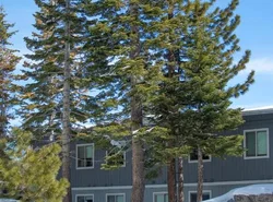 Tahoe Trail Resort