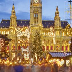 Vienna Christmas Market, Vienna Accommodation Ohio