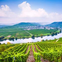 German Mosel Accommodation Ohio
