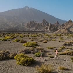 Canary Islands Accommodation Ohio