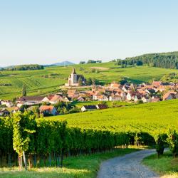 Alsace Accommodation Ohio