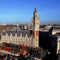 Lille Accommodation Ohio