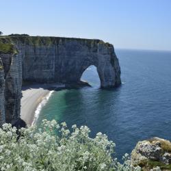Normandy Accommodation Ohio