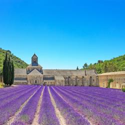 Provence Accommodation Ohio