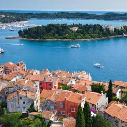 Dalmatia Accommodation Ohio
