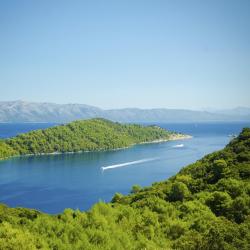 Mljet Island Accommodation Ohio
