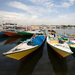 South Sulawesi Accommodation Ohio