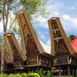 Sulawesi Accommodation Ohio