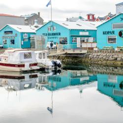 Reykjavik Old Harbour, Reykjavík Accommodation Ohio