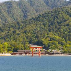 Aichi Accommodation Ohio