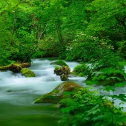 Aomori Accommodation Ohio