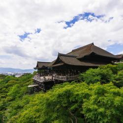 Kyoto Accommodation Ohio