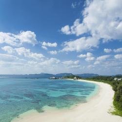 Okinawa Accommodation Ohio