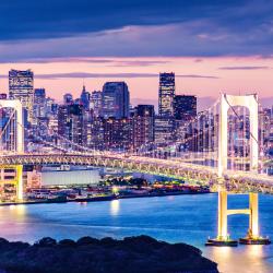 Tokyo Accommodation Ohio