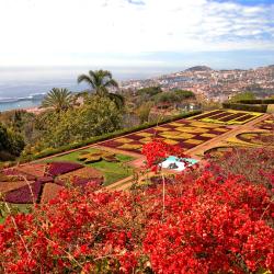 Funchal Accommodation Ohio