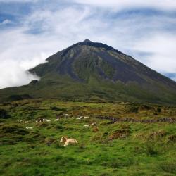Pico island Accommodation Ohio