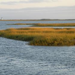 Cape Cod Accommodation Ohio