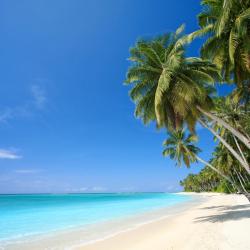 Hawaii Accommodation Ohio