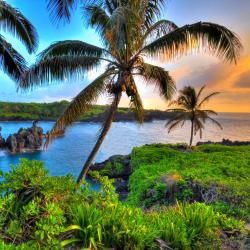 Maui Accommodation Ohio