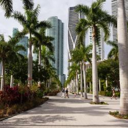 Miami Accommodation Ohio