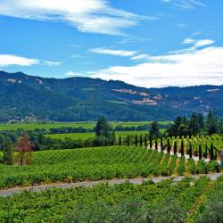 Napa Valley Wine Country Accommodation Ohio