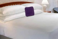 Clemson University Sc Accommodation Ohio