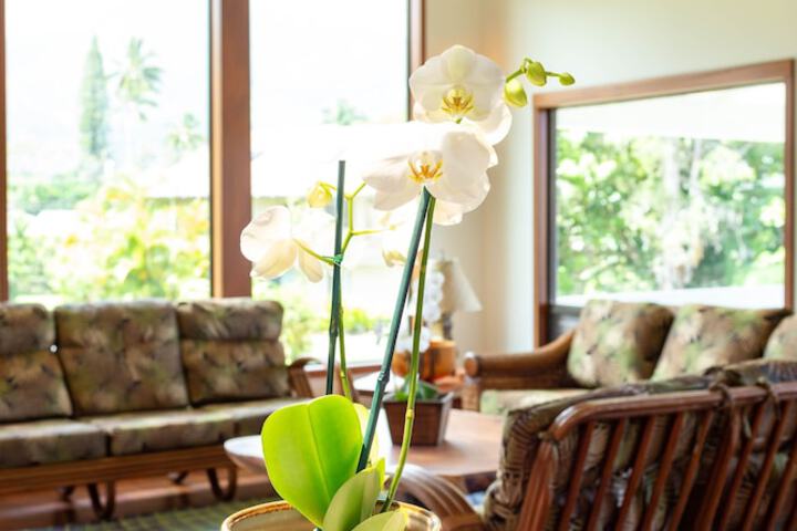 Hale Ola Kai 3 Br Home - thumb 6