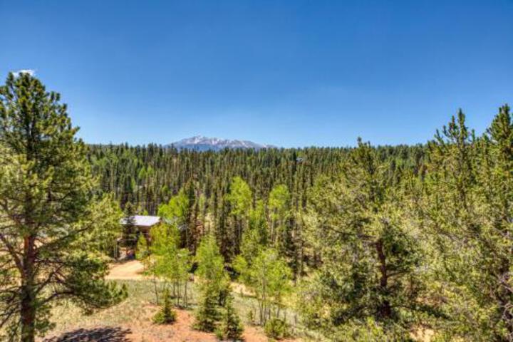 Timberline Manor - thumb 4