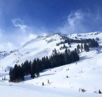 Oaks at Wasatch Family Getaway - Accommodation Ohio