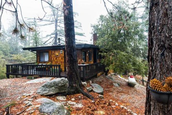 The Sun Cabin - thumb 5