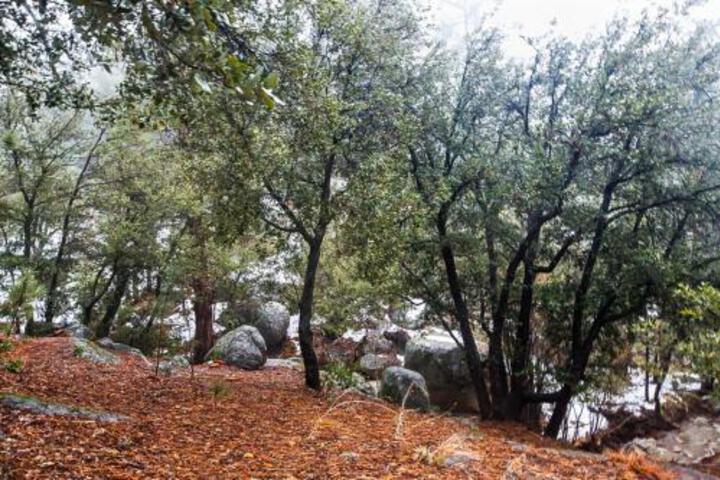 The Sun Cabin - thumb 0