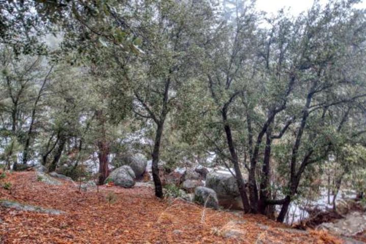 The Sun Cabin - thumb 2