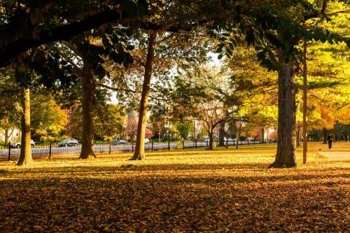 Mins To Downtown Ballpark Arch With Free Parking W & D Zencity At Bordeaux - thumb 4