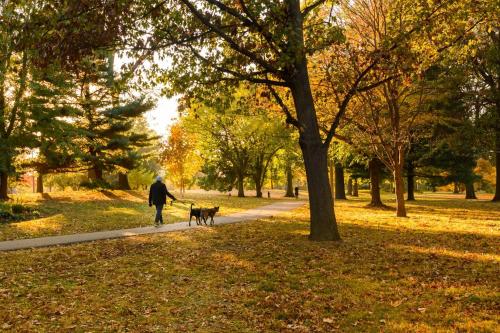 Mins To Downtown Ballpark Arch With Free Parking W & D Zencity At Bordeaux - thumb 1