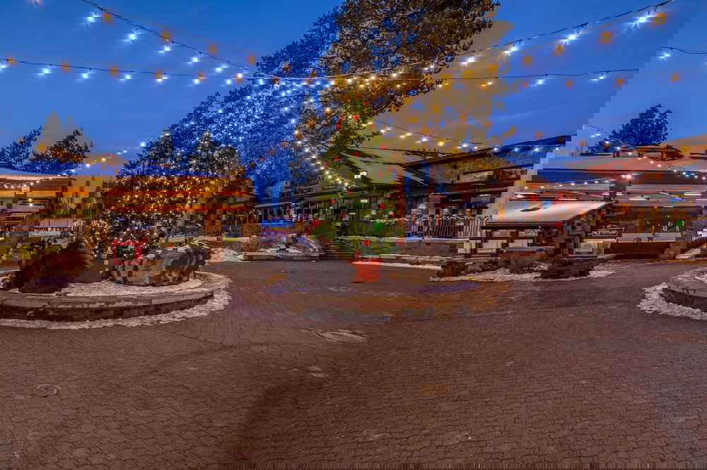 Titleist 1 - thumb 6