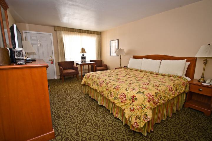 Ouray Chalet Inn - thumb 5