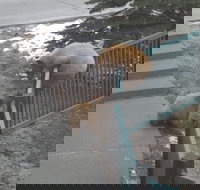 Mountainback at Mammoth - Accommodation Ohio