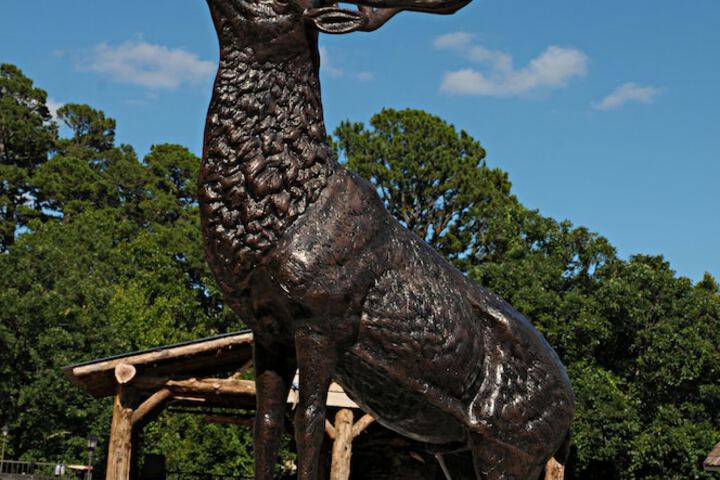 Stonegate Lodge - thumb 2