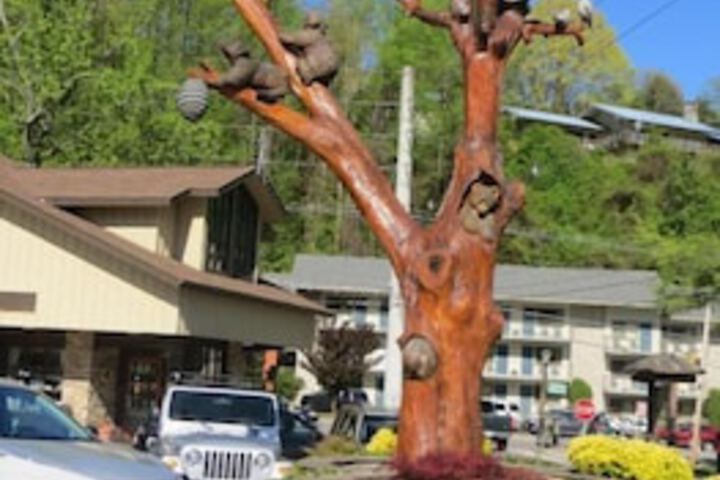 Mountain House Inn - thumb 1