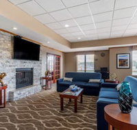 Comfort Inn  Suites Carbondale University Area - Accommodation Ohio