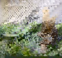 Beacon House Inn Bed  Breakfast - Accommodation Ohio