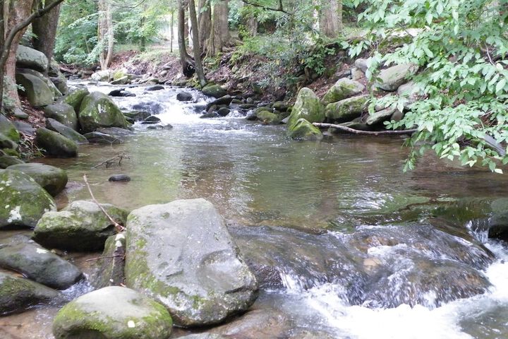 Sidney James Mountain Lodge - thumb 1