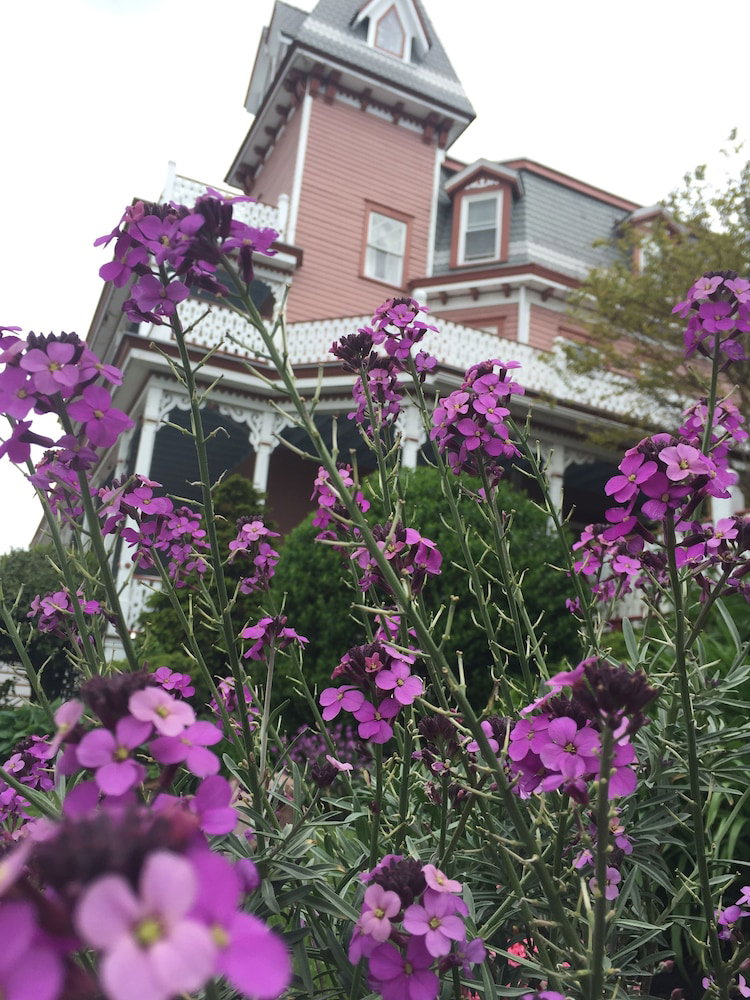 Angel Of The Sea - thumb 5