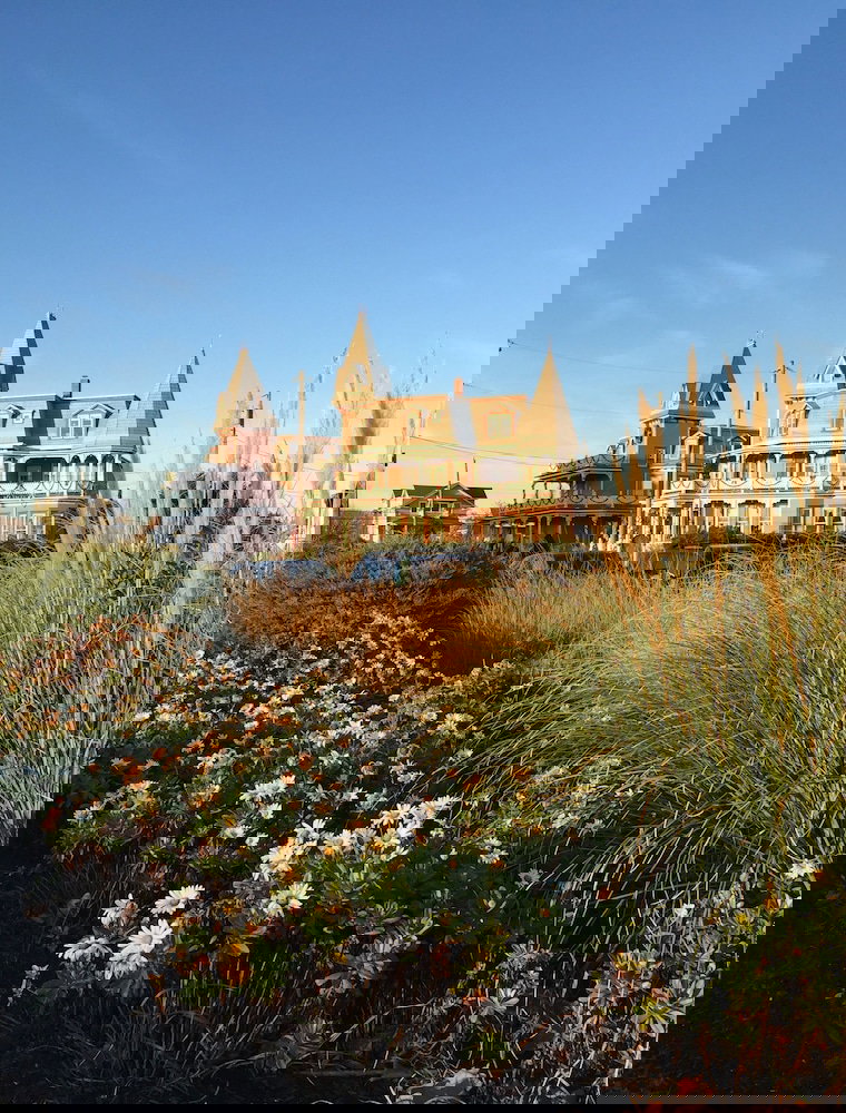 Angel Of The Sea - thumb 0