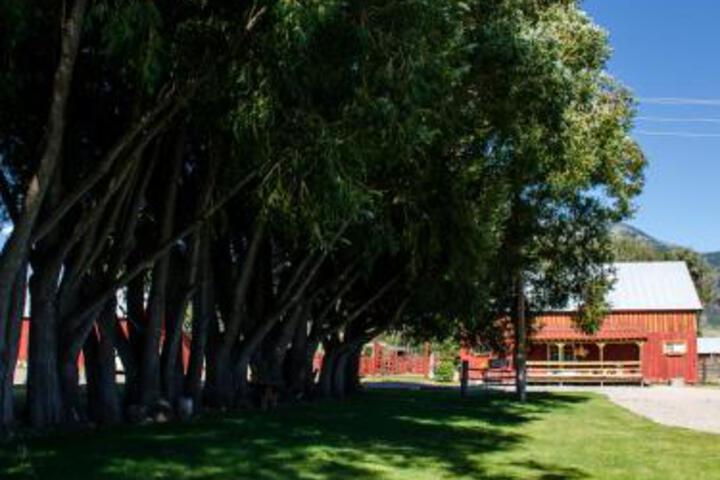 Hansen Guest Ranch - thumb 2