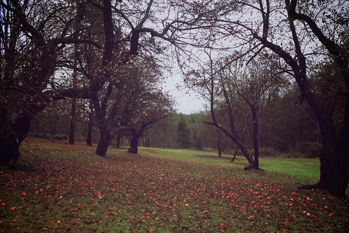 The Inn At Woodchuck Hill Farm - thumb 1