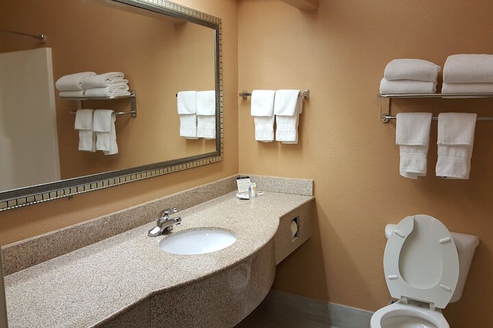Comfort Suites Mobile East Bay - thumb 6