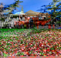 Sea Mist Waterfront Inn - Accommodation Ohio