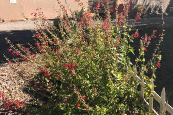 Redhen Rental Near Zion National Park - thumb 0